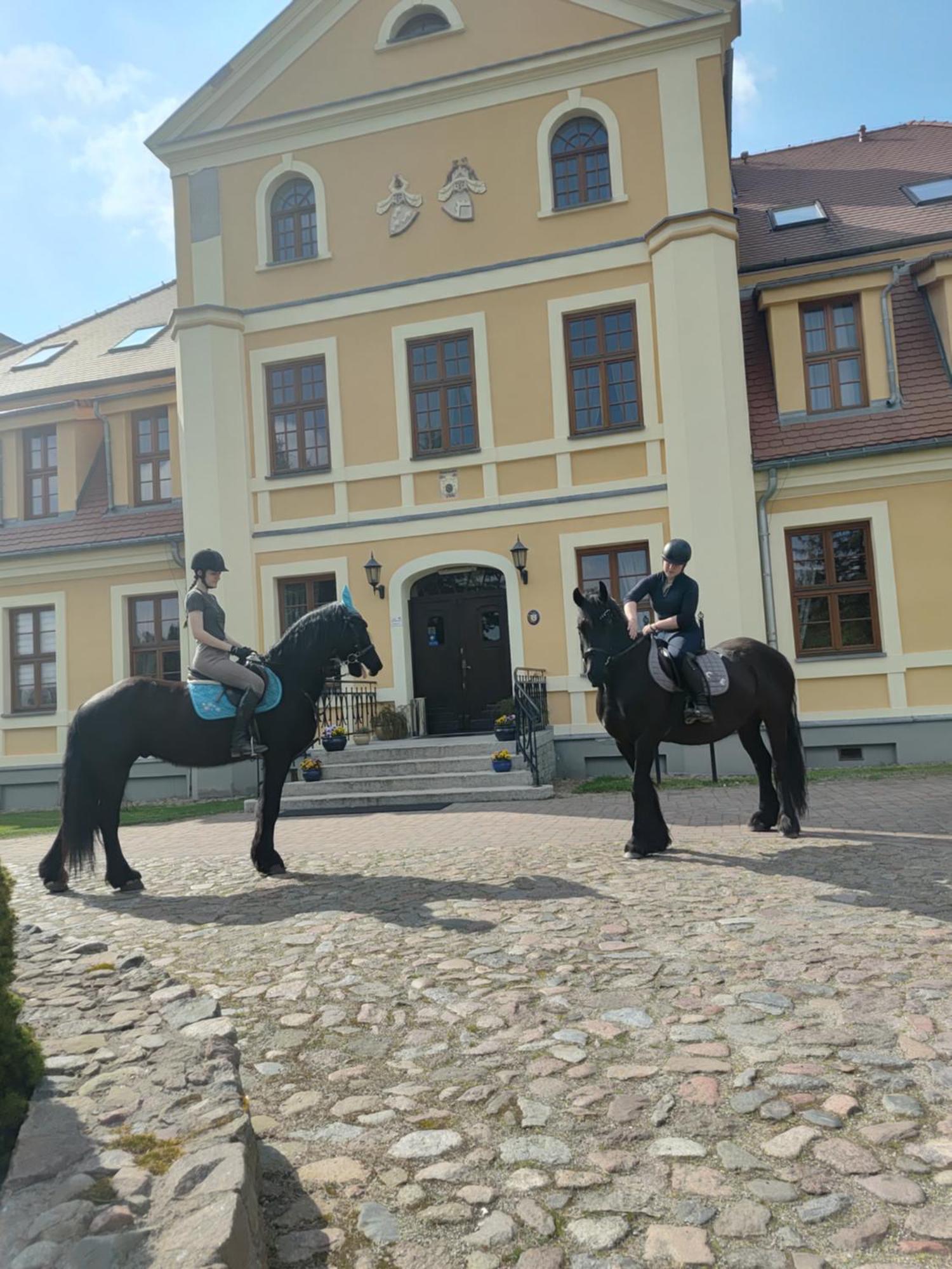 Palac W Rymaniu Экстерьер фото