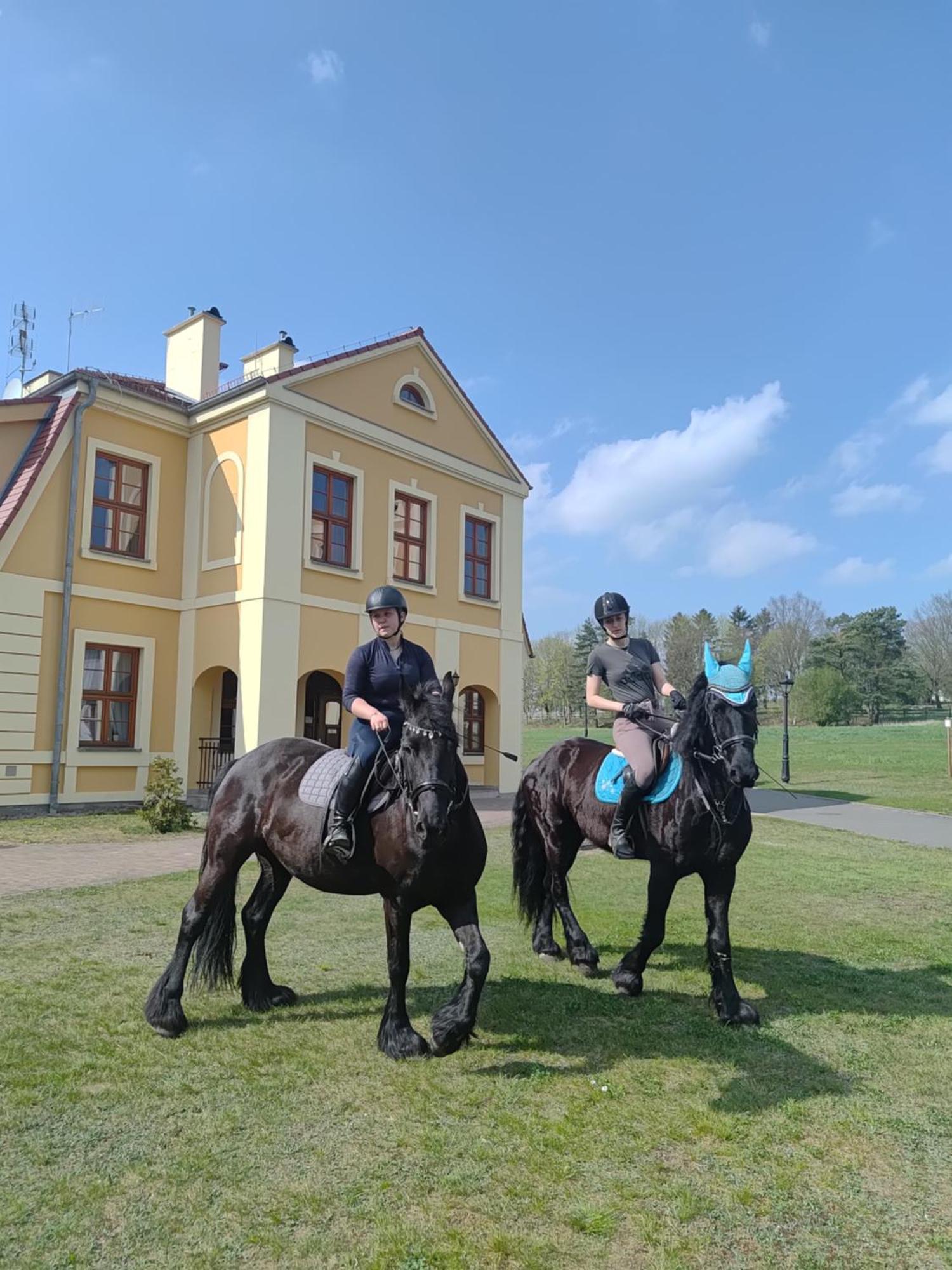Palac W Rymaniu Экстерьер фото